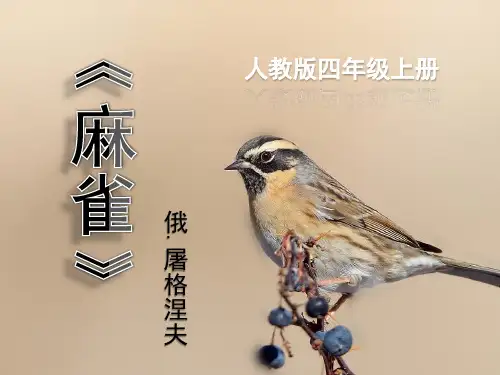部编版语文四年级上册16《麻雀第二课时》课件(共17张PPT)