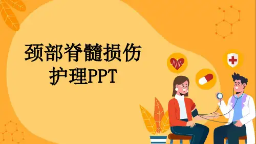 颈部脊髓损伤护理PPT