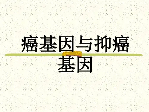 6癌基因与抑癌基因