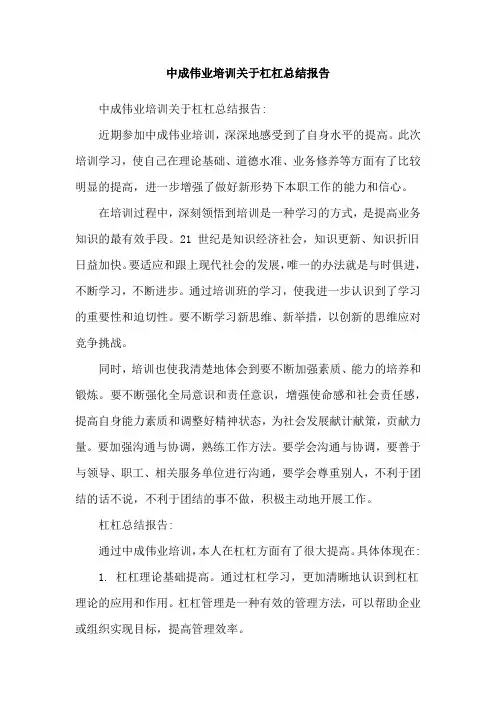 中成伟业培训关于杠杠总结报告