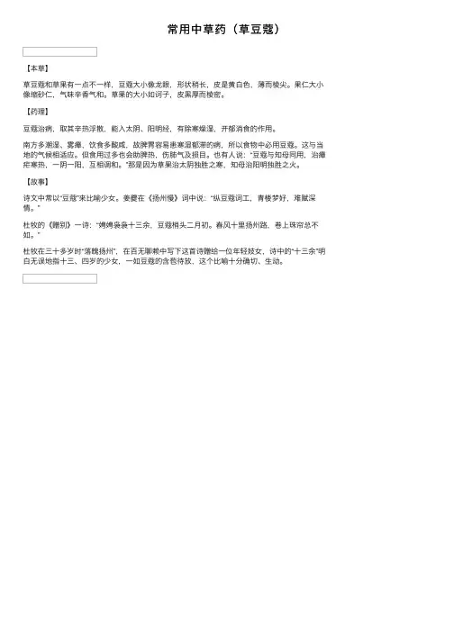 常用中草药（草豆蔻）