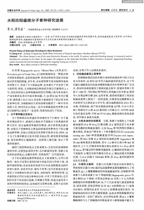 水稻抗稻瘟病分子育种研究进展