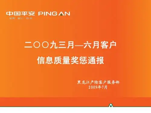 客户信息半年奖惩报告