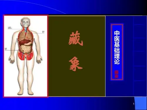 五脏肾 ppt课件