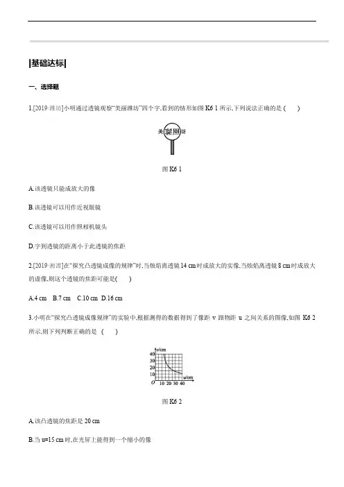 初中物理课时训练06 透镜及其应用
