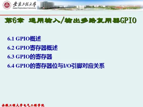 第6章 通用输入输出多路复用器(GPIO)