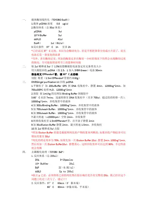 载体构建步骤