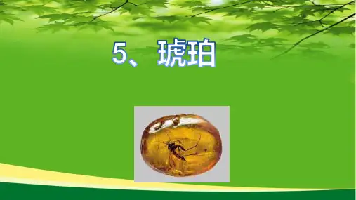 部编版四年级语文下册第5课《琥珀》(课件)