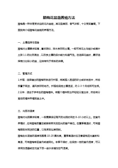 腊梅花盆栽养殖方法