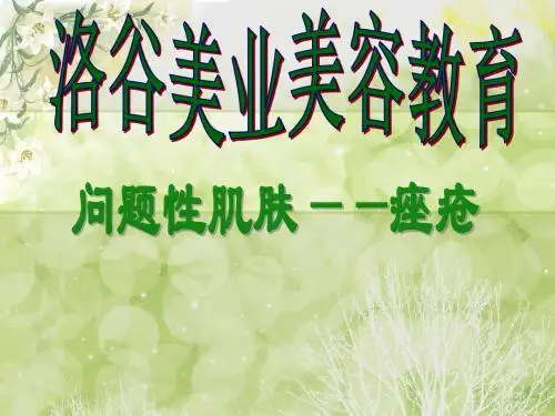 问题性肌肤(痤疮)ppt课件