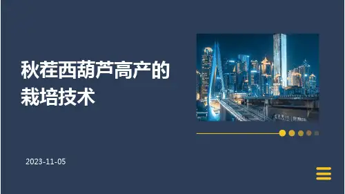秋茬西葫芦高产的栽培技术
