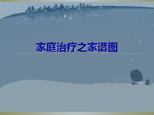 归纳家庭图谱的详解经典