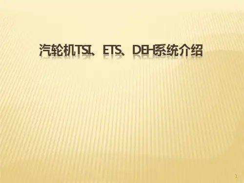 汽轮机TSIDEHETS系统介绍 PPT课件
