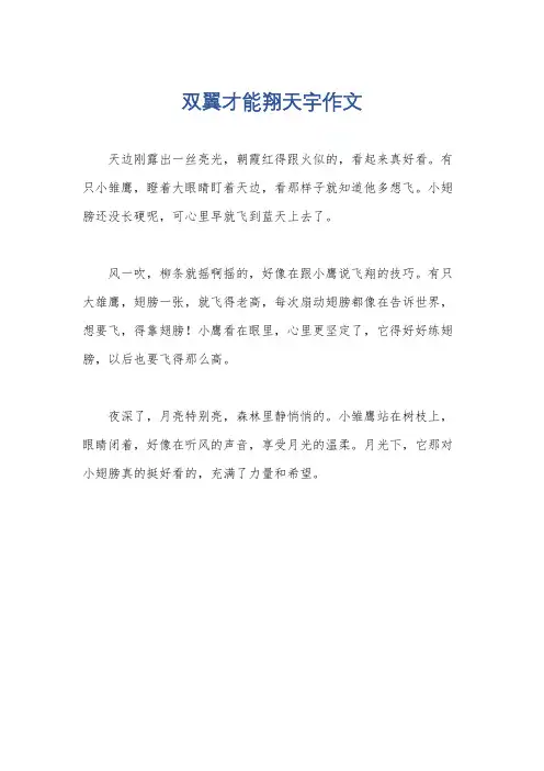 双翼才能翔天宇作文