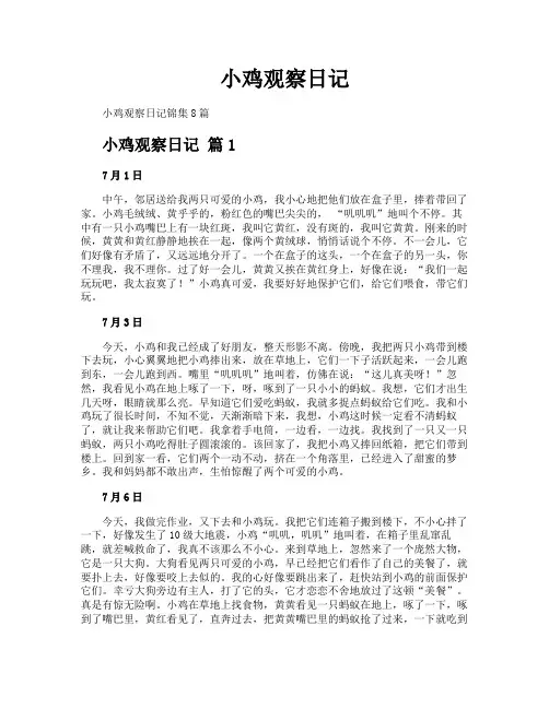 小鸡观察日记