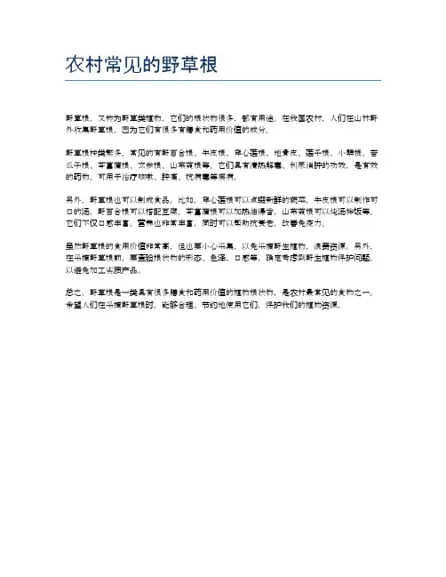 农村常见的野草根
