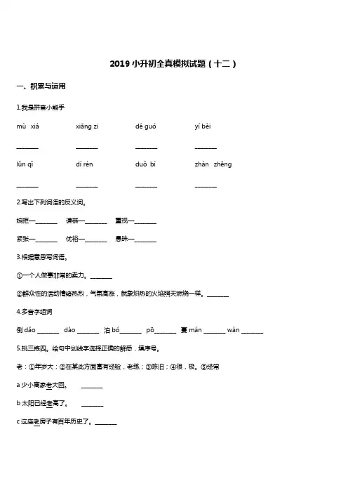 2019年小升初全真语文模拟试题(12) 人教新课标 含答案