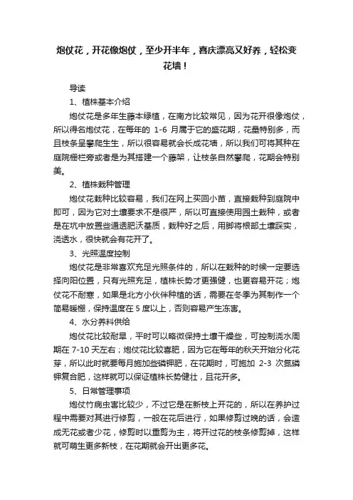 炮仗花，开花像炮仗，至少开半年，喜庆漂亮又好养，轻松变花墙！