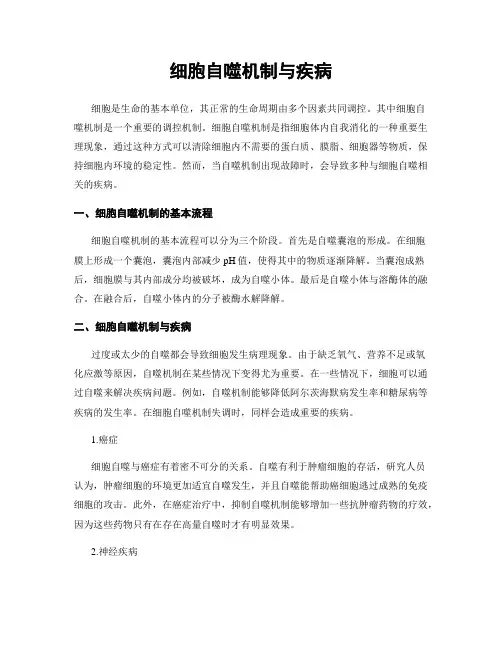 细胞自噬机制与疾病
