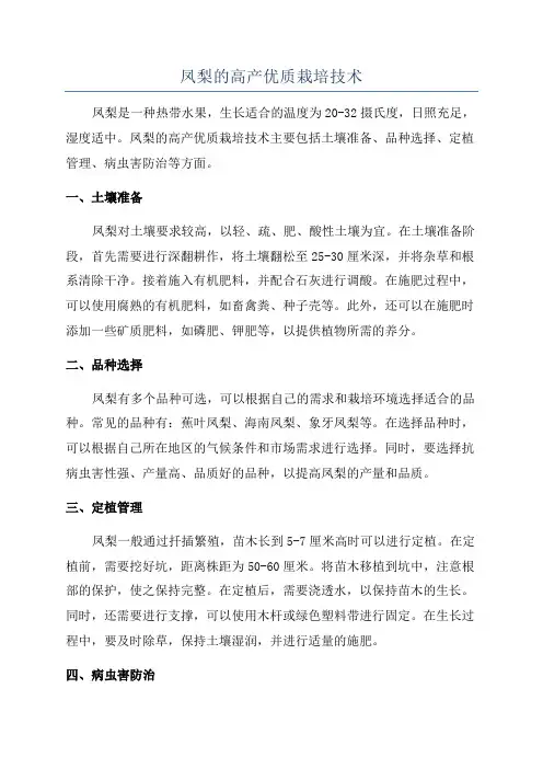 凤梨的高产优质栽培技术