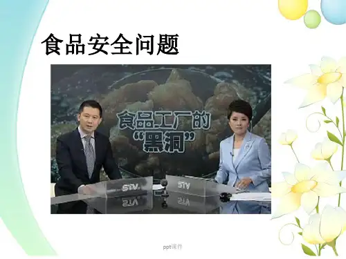 食品安全问题  ppt课件