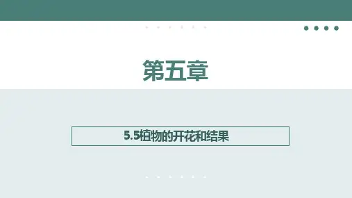 5.5植物的开花和结果同步课件(21张PPT)2023-2024学年苏教版生物七年级上册
