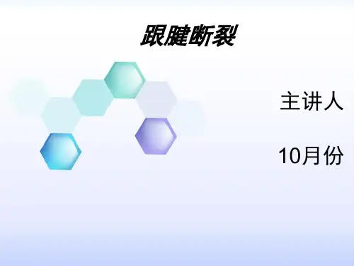 跟腱断裂护理_查房
