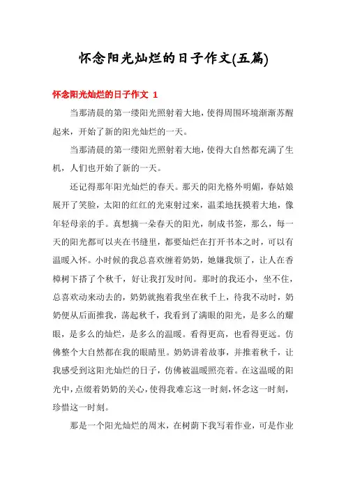怀念阳光灿烂的日子作文(五篇)