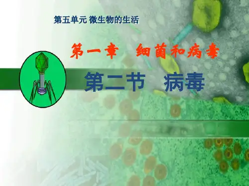 冀少版八年级上册生物  5.1.2病毒 课件   (共18张PPT)