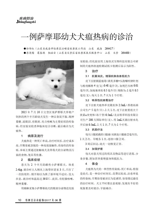 一例萨摩耶幼犬犬瘟热病的诊治