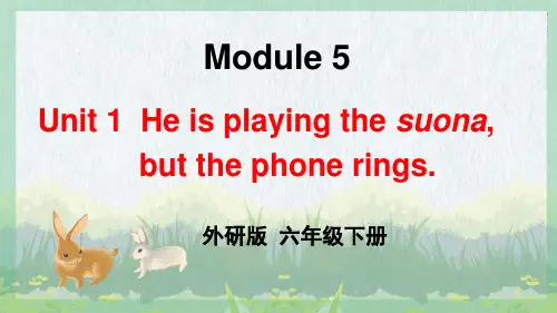 外研版小学英语 六年级下册 Module5 Unit 1 He is playing the suona, but the phone rings. 教学课件PPT