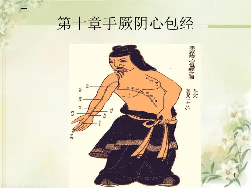 第10章_手厥阴心包经.pptppt课件
