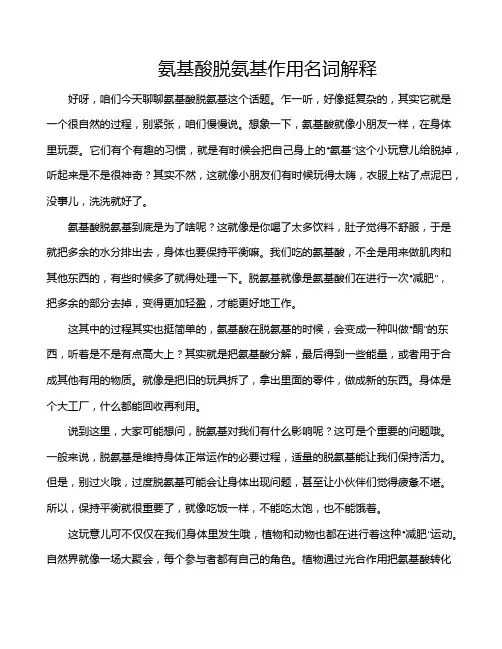 氨基酸脱氨基作用名词解释