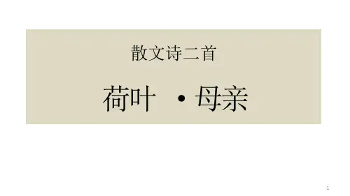 七年级语文散文诗二首《荷叶-母亲》ppt课件