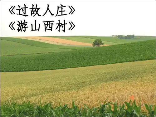 四年级语文下册第六单元作文完整ppt课件