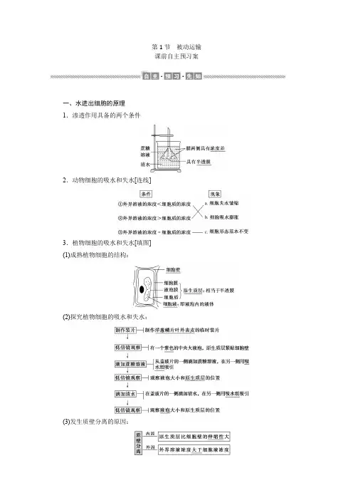 (2019新教材)高中生物人教版必修1学案：4.1 被动运输 