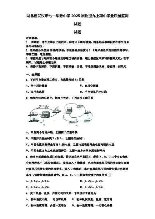 湖北省武汉市七一华源中学2025届物理九上期中学业质量监测试题含解析