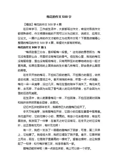 梅花的作文500字