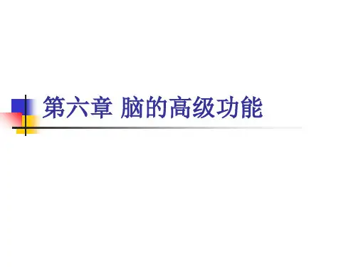 第六章_脑的高级功能ppt课件
