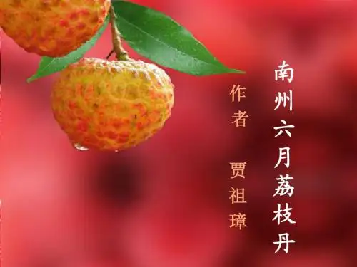 南州六月荔枝丹