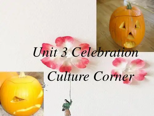 celebrationPPT精品课件