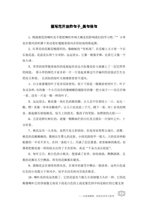 描写花开放的句子-美句佳句