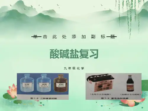 化学中考酸碱盐复习ppt