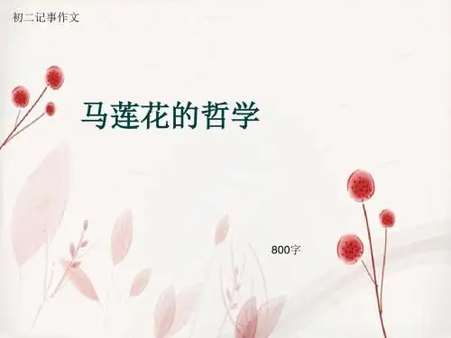 初二记事作文《马莲花的哲学》800字(总10页PPT)