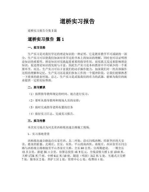 道桥实习报告