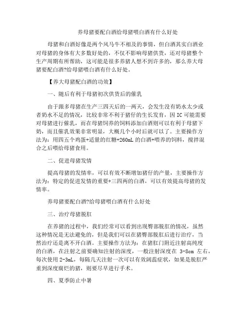 养母猪要配白酒给母猪喂白酒有什么好处