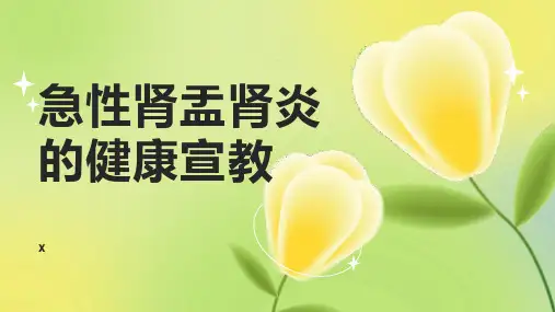 急性肾盂肾炎的健康宣教