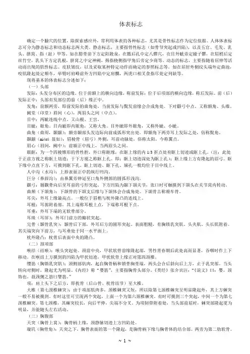 体表标志(精细)