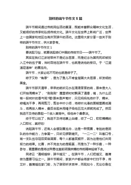 别样的端午节作文5篇