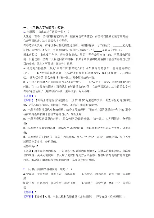 新中考 语文  短语专项训练及答案